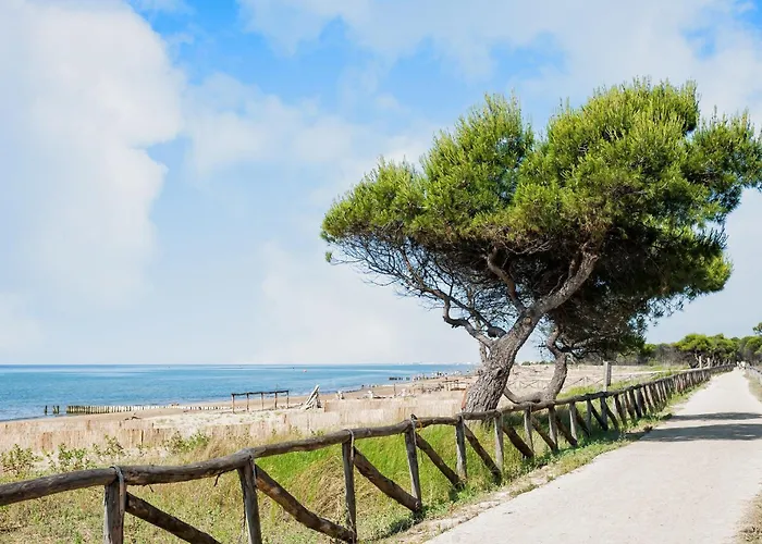 Cozy Flat With Spacious Terrace